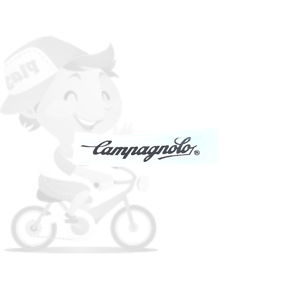 CAMPAGNOLO(カンパニョーロ)ロゴステッカー(ブラック/W4.5)